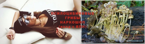 эйфоретик Баксан