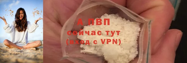 эйфоретик Баксан