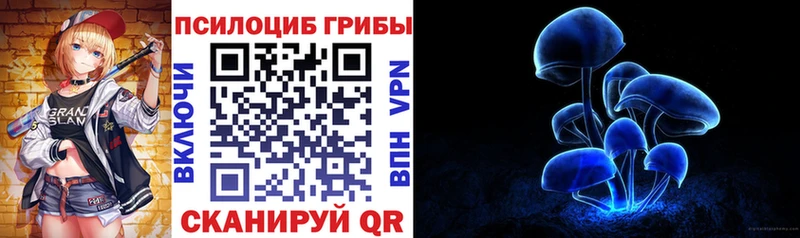 купить наркоту  Красноармейск  Псилоцибиновые грибы ЛСД 